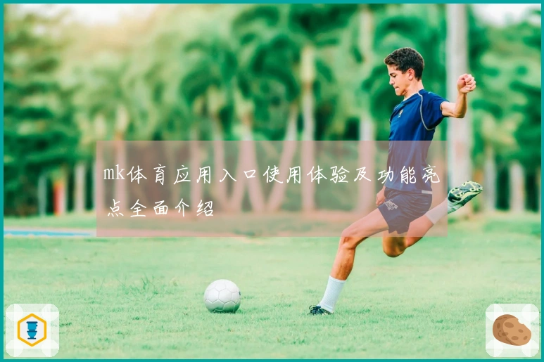 mk体育应用入口使用体验及功能亮点全面介绍