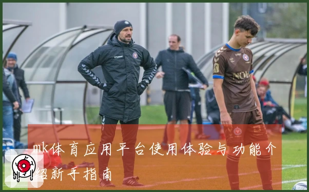 mk体育应用平台使用体验与功能介绍新手指南