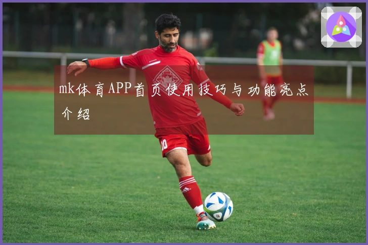 mk体育APP首页使用技巧与功能亮点介绍
