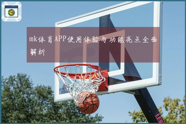 mk体育APP使用体验与功能亮点全面解析